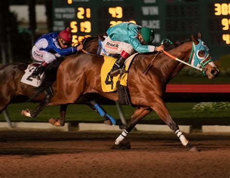 Horse Races Now.